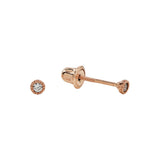10k Solid Gold CZ Scalloped Studs - Rose Gold - Earrings - Ofina