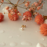 10k Solid Gold Pearl Studs - - Earrings - Ofina