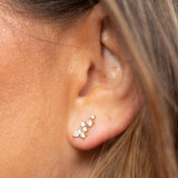 Curved Multi-CZ Cluster Studs - - Earrings - Ofina