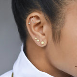 14k Solid Gold Stardust Studs - - Earrings - Ofina