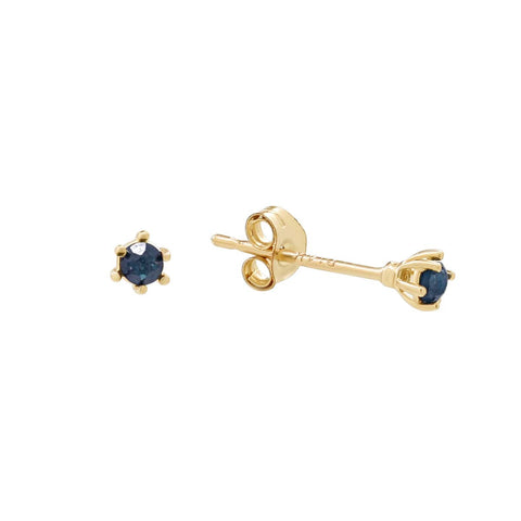 14k Solid Gold Blue Diamond Studs - - Earrings - Ofina