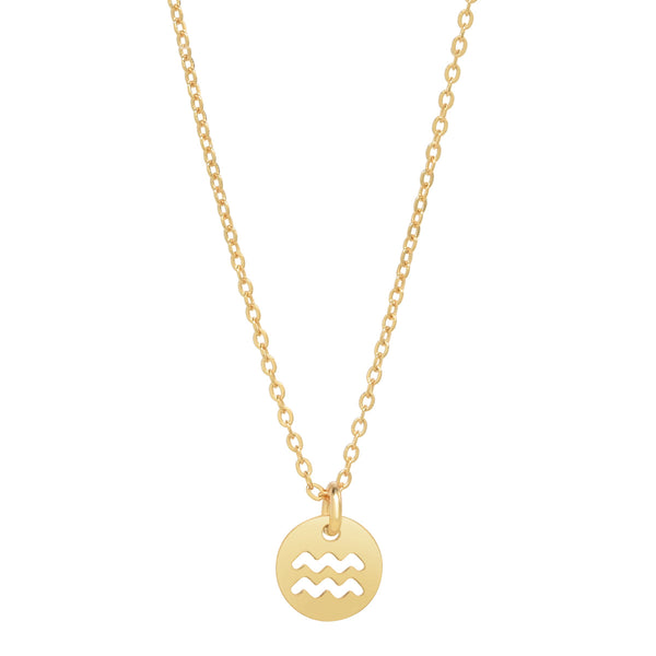 SALE - Zodiac Necklace - Aquarius - Necklaces - Ofina