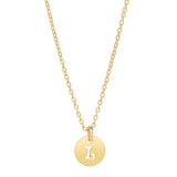 SALE - Zodiac Necklace - Capricorn - Necklaces - Ofina