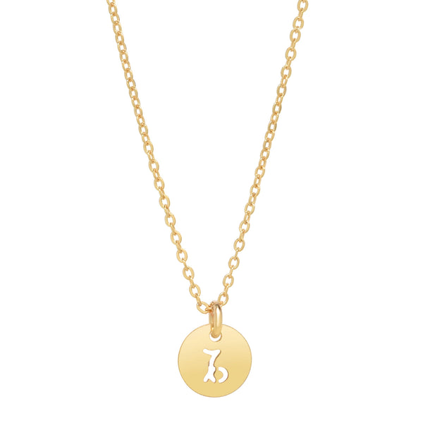 SALE - Zodiac Necklace - Capricorn - Necklaces - Ofina