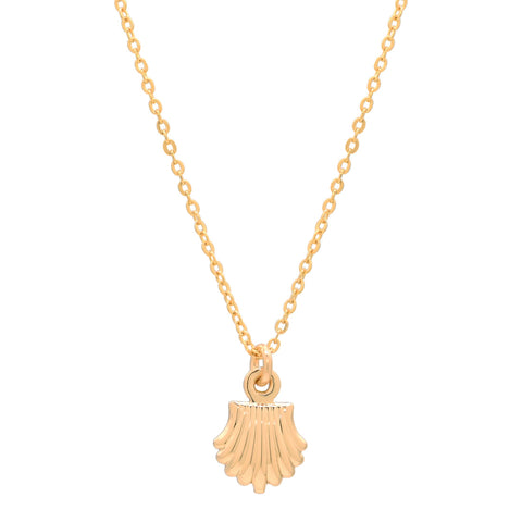 Seashell Necklace - - Necklaces - Ofina