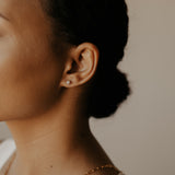Pearl Studs - - Earrings - Ofina