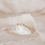 SALE - CZ Duo Marquise / Dot Ring - - Rings - Ofina