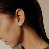 10k Solid Gold Seashell Studs - - Earrings - Ofina