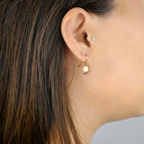 SALE - Curved Brushed Teardrop Earrings -  - Earrings - Ofina