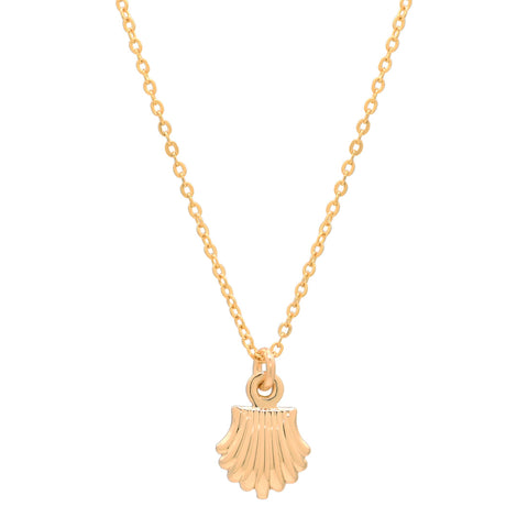 Seashell Necklace -  - Necklaces - Ofina